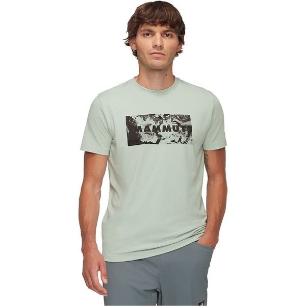 マムート メンズ トップス Tシャツ Mammutrovat Lo TShirt Mensilver Sage セージ