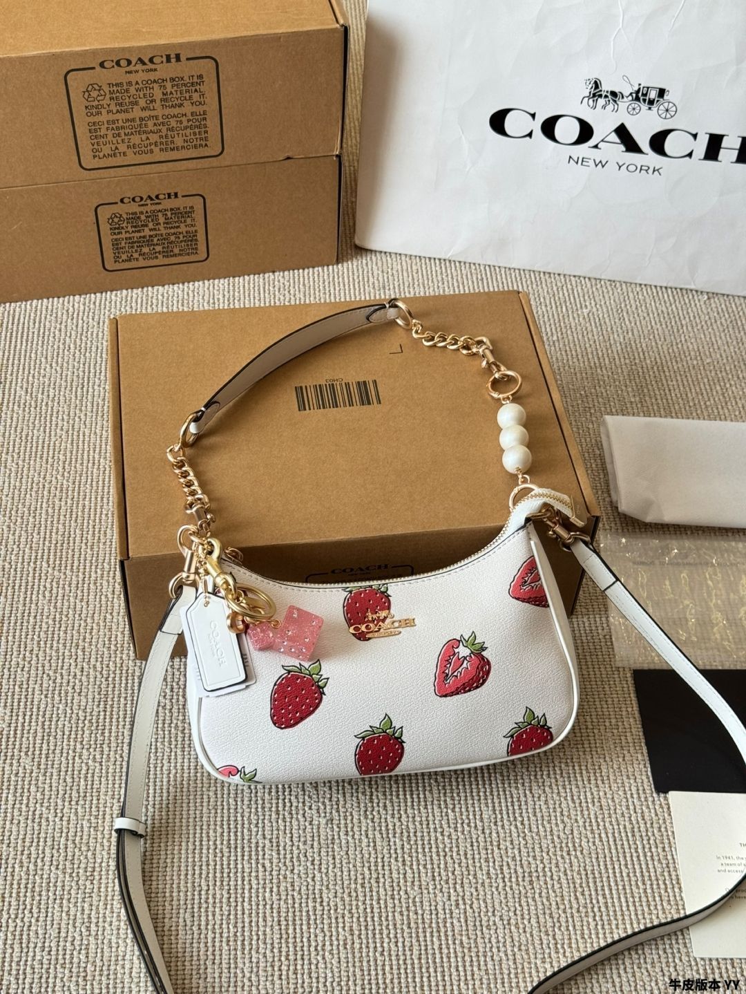 【今日特価】Coach Teri アームバッグ 人気 No.1 送料無料 割引価格入手可
