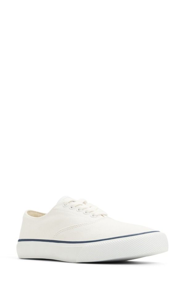 スペリー レディース シューズ スニーカー Sperry ClassicVO Sneaker White ホワイト