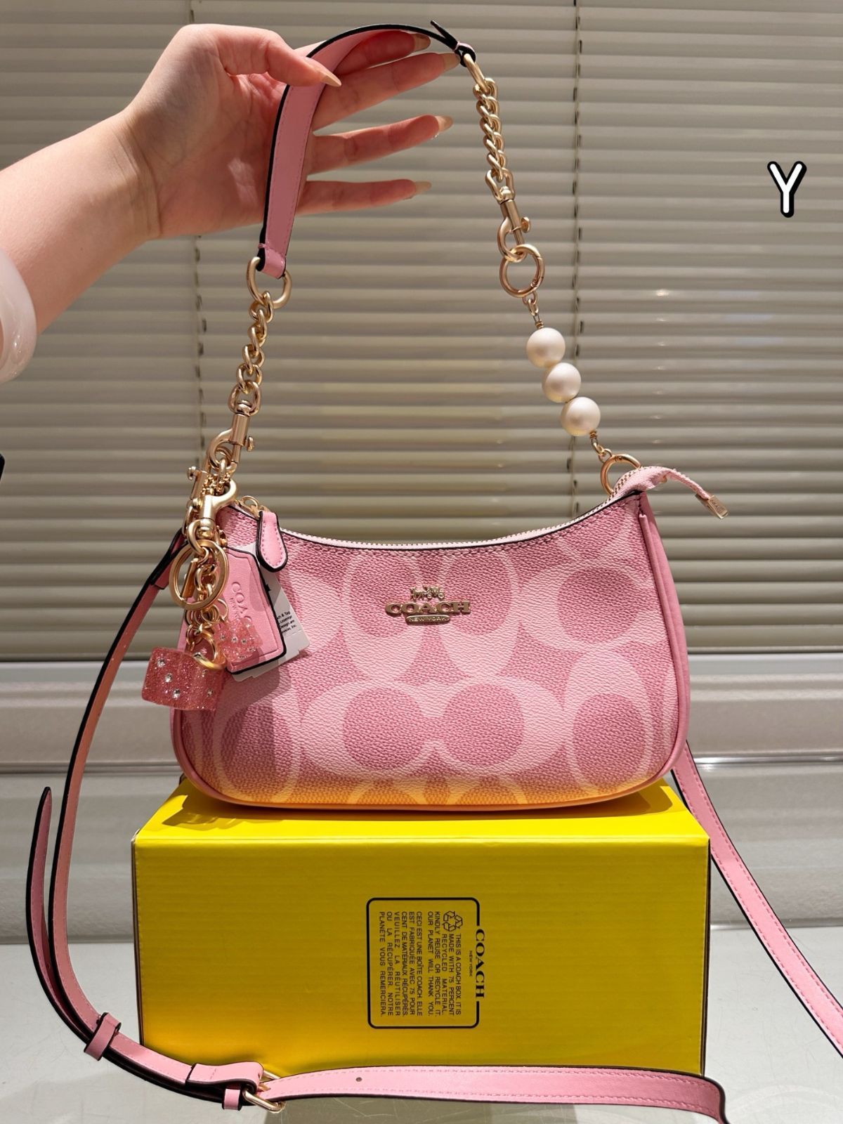 【今日特価】Coach Teri コーチ テリ アームバッグ-WTO輸入