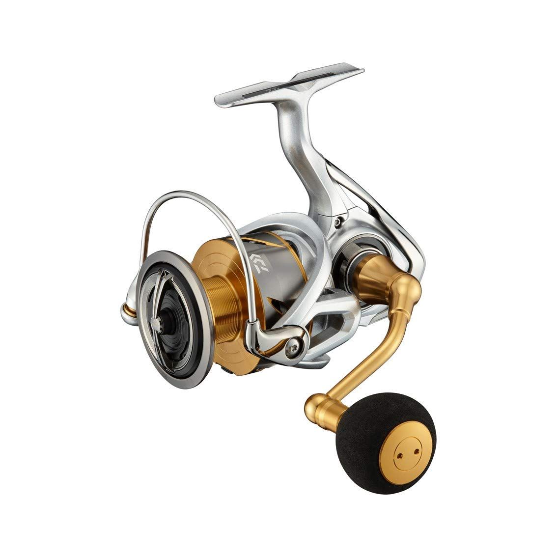 ダイワ(DAIWA) ２１フリームス ＬＴ６０００Ｄ－Ｈ [LT6000D-H]