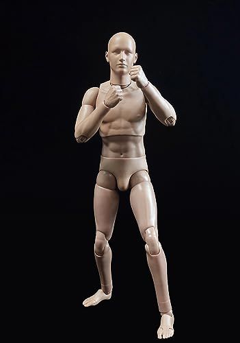 【新品】おもちゃ ホビー [TOYBARJAPAN]1/6スケール アクションフィギュア用 DID OA60003 A型素体 標準版 ヘッド マンズ 男性素体ボデイ 2.0版 905f46a0