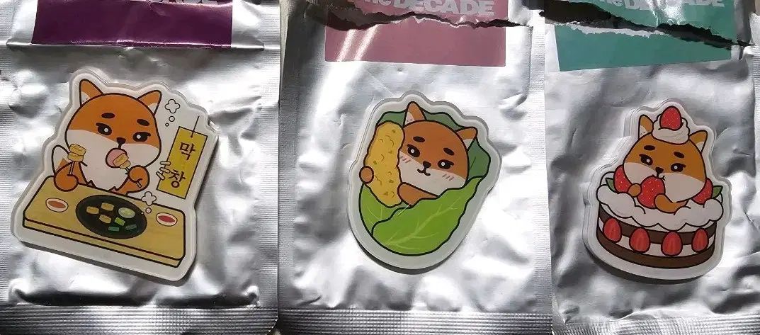 ケマグネット DAEGU 光州 大田 ₍テジョン) まとめ
