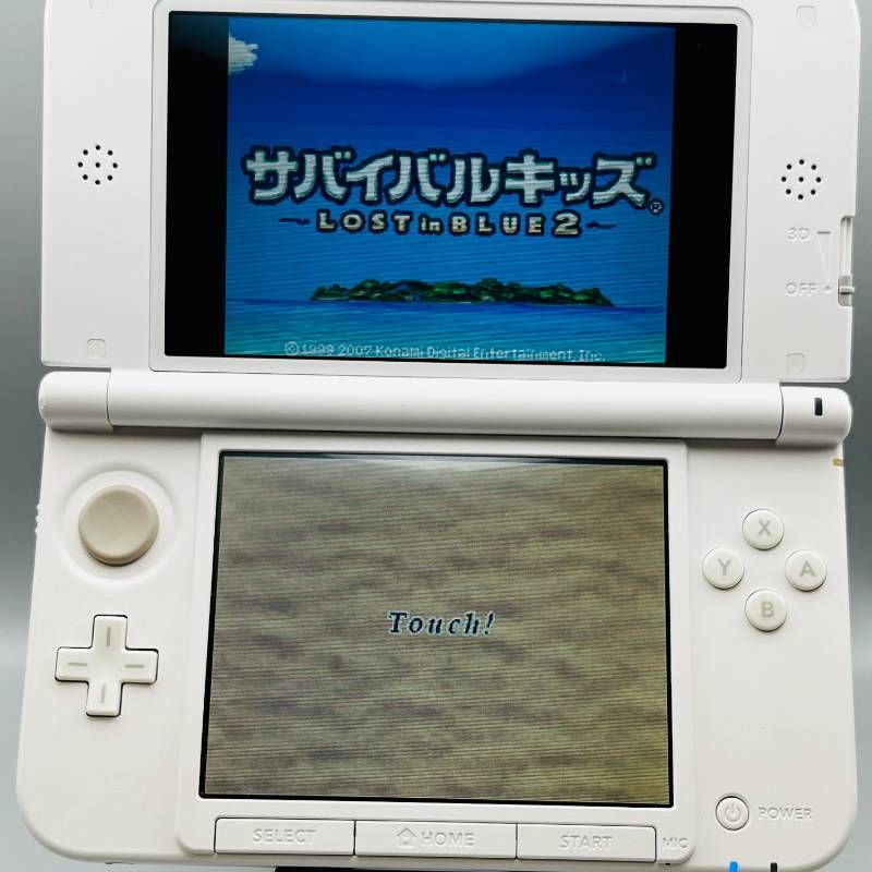 サバイバルキッズ ～LOST in BLUE 2～ ニンテンドーDSソフト - メルカリ