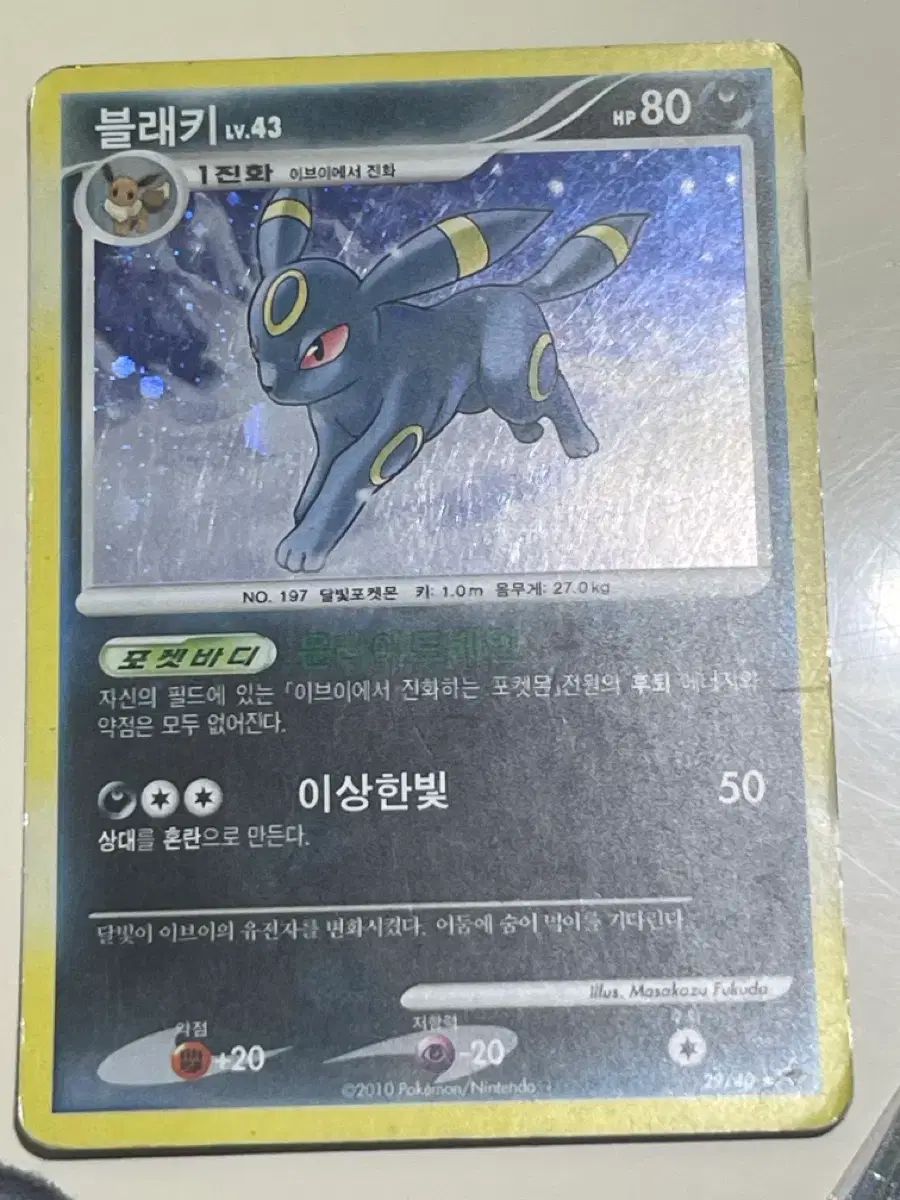 ポケモンカード ブラッキー