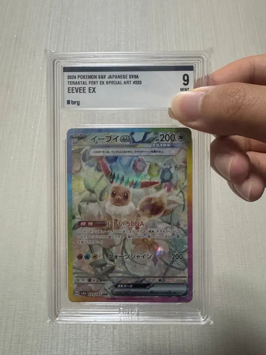 ポケモンカード 2024 イーブイEX テラスタル フェスト スペシャルアート #223