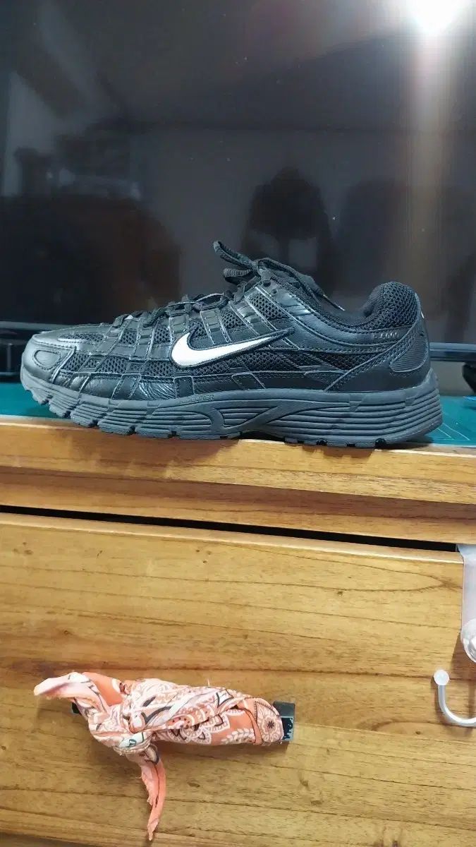 ナイキ 正規品 P6000 ランニングシューズ 250
