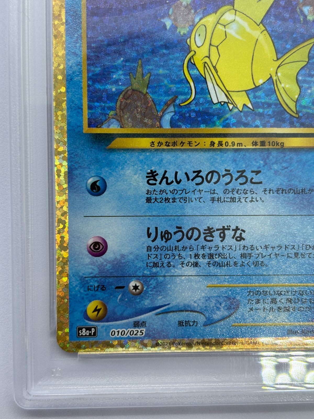 PSA10】ひかるコイキング 010/025 S8a-P 25th プロモ ポケカ 鑑定品