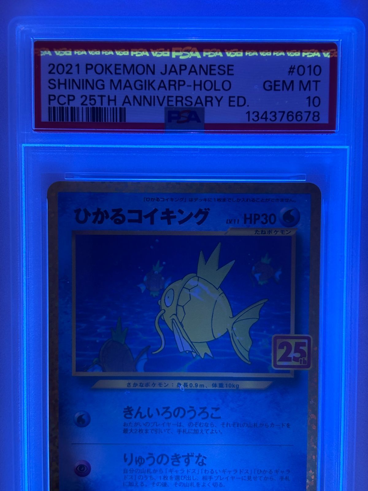 PSA10】ひかるコイキング 010/025 S8a-P 25th プロモ ポケカ 鑑定品