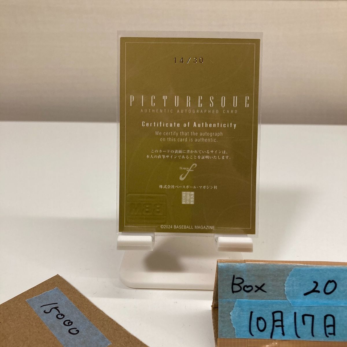 2024 BBM Fusion 澤井廉 14/30 直筆サインカード 東京ヤクルトスワローズ Picturesque カード