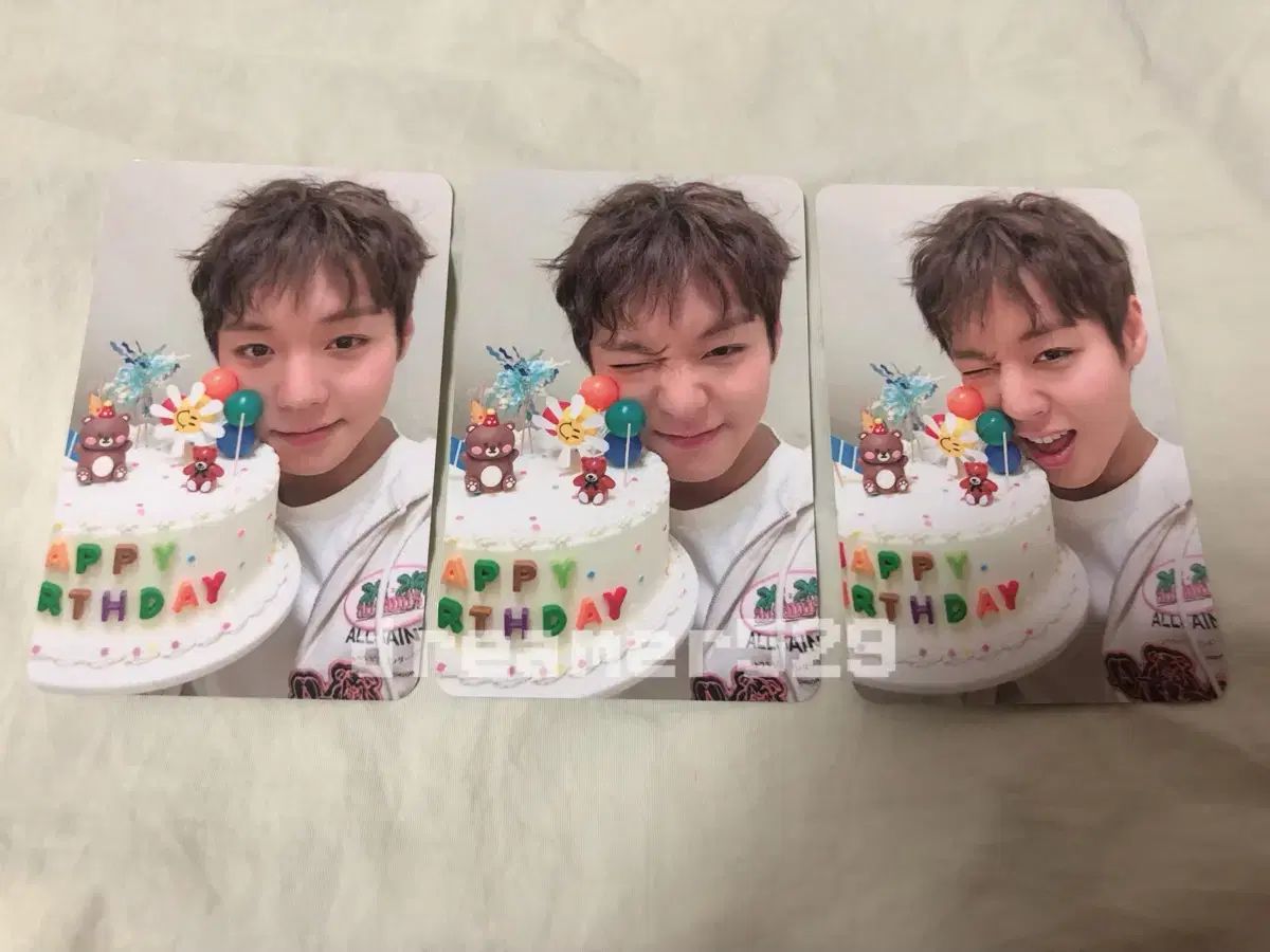 [PARK JIHOON] パクジフン シーグリ トレカ まとめ売り パク・ジフン(PARK JIHOON) フニデイ トレカ - メルカリ