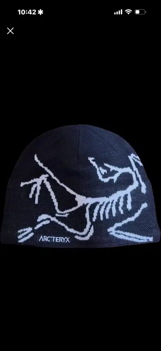 アークテリクス BIRD ヘッド トーク オルカ
