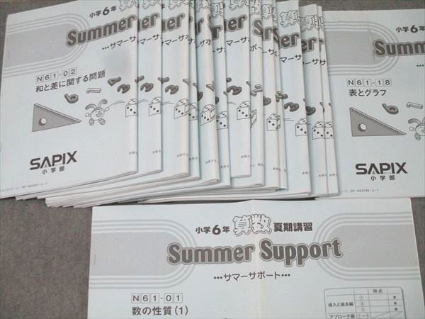 SAPIX サピックス 小学6年 算数 サマーサポート N61-01～18 計18回分