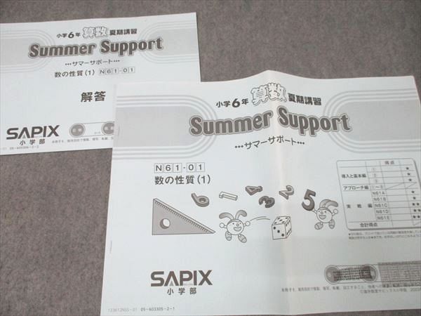 SAPIX サピックス 小学6年 算数 サマーサポート N61-01～18 計18回分