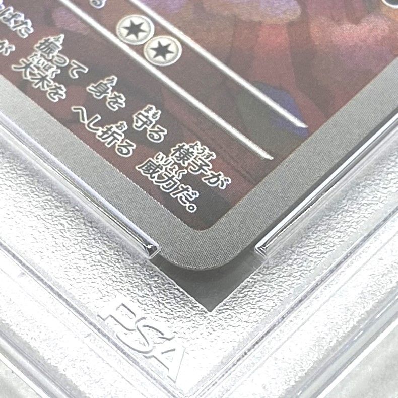 ☆PSA10 ポケモンカード ヌイコグマ AR 075/063 メガシンフォニア