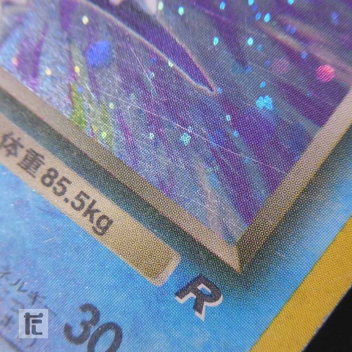 わるいカメックス LV.28 / TA24869 - メルカリ