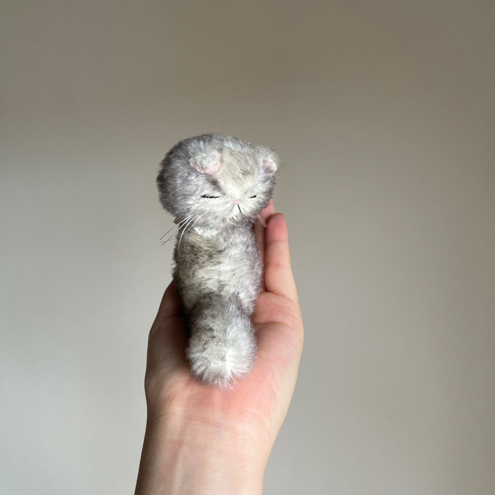 とけそうな、ねこ ( おれみみシルバーの子 ) Cora 猫 ぬいぐるみ 作家