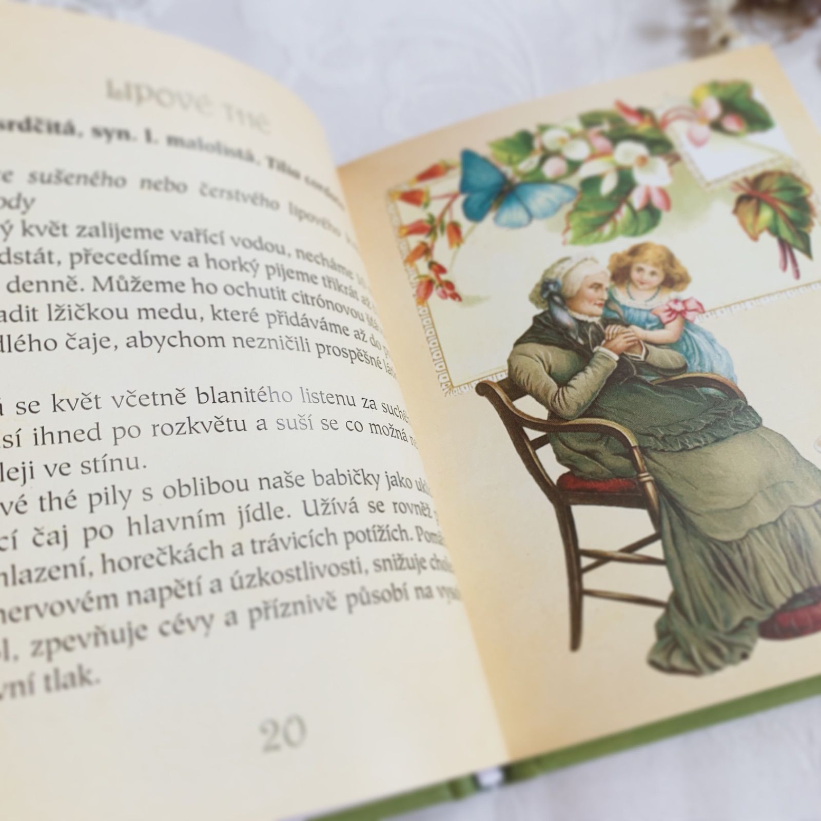 洋書 チェコ語の可愛いティーブック ハーブティー Klára Trnková