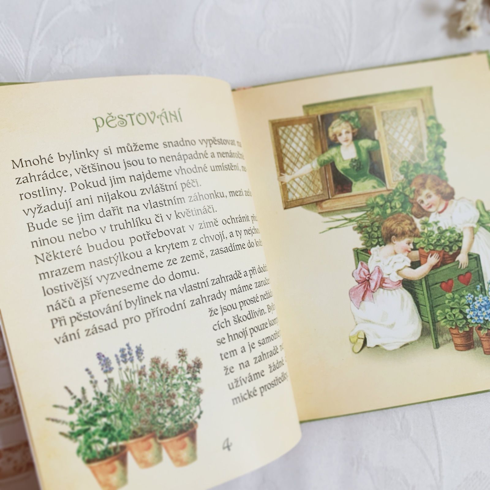 洋書 チェコ語の可愛いティーブック ハーブティー Klára Trnková