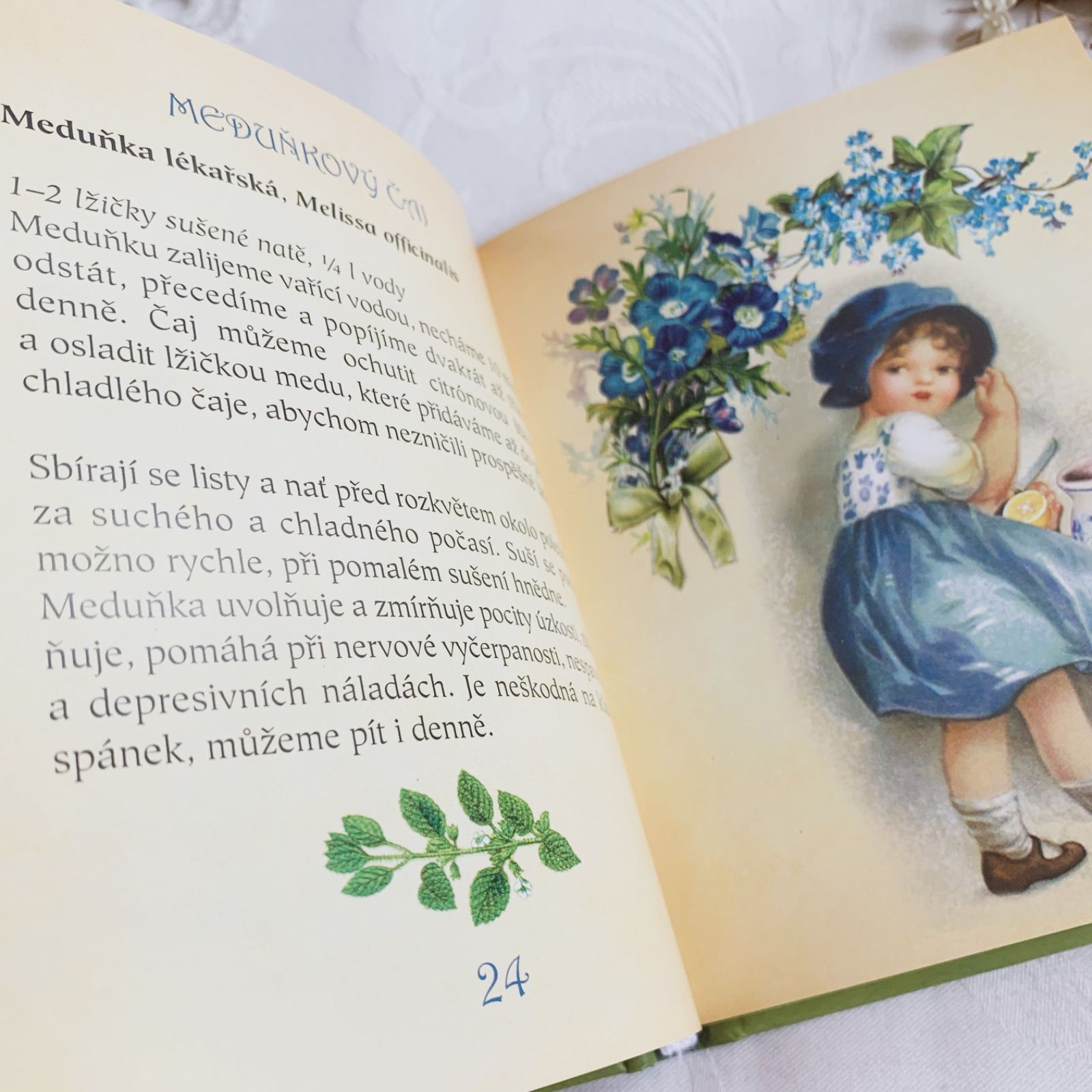 洋書 チェコ語の可愛いティーブック ハーブティー Klára Trnková