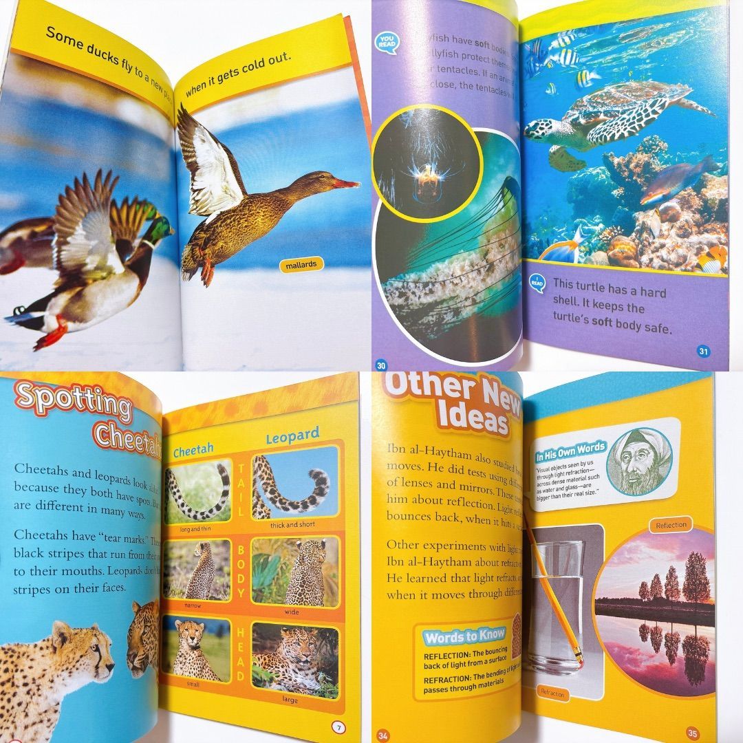 National Geographic Kids 英語絵本 全155冊 音源付き Pre-Reader