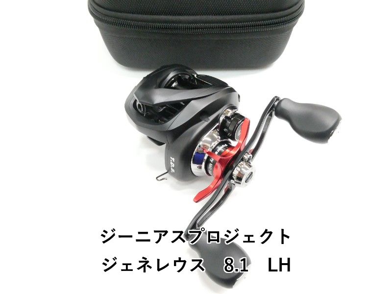 ジーニアスプロジェクト ジェネレウス　8.1　LH (01-9106230009)