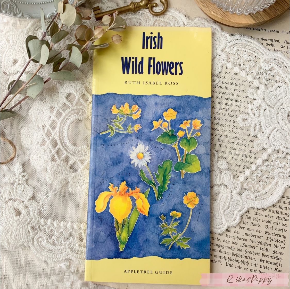 ヴィンテージ 洋書 『Irish Wild Flowers｜Ruth Isabel Ross』植物図鑑
