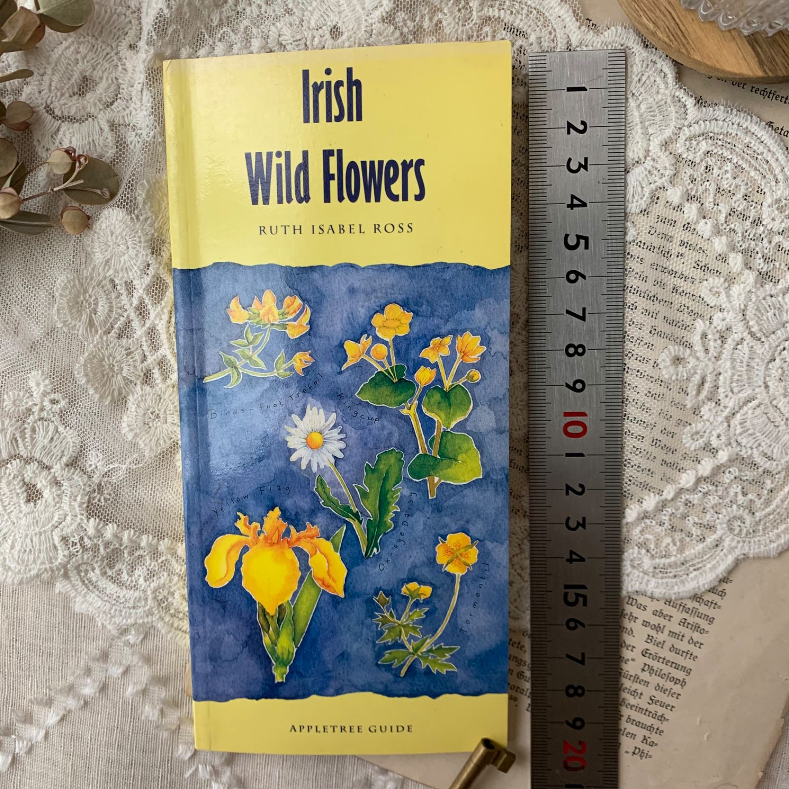 ヴィンテージ 洋書 『Irish Wild Flowers｜Ruth Isabel Ross』植物図鑑