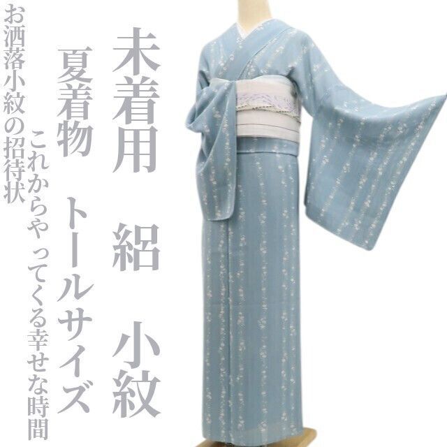 未着用・夏小紋】絽 夏着物 正絹 仕付け糸付 トールサイズ tomihisa