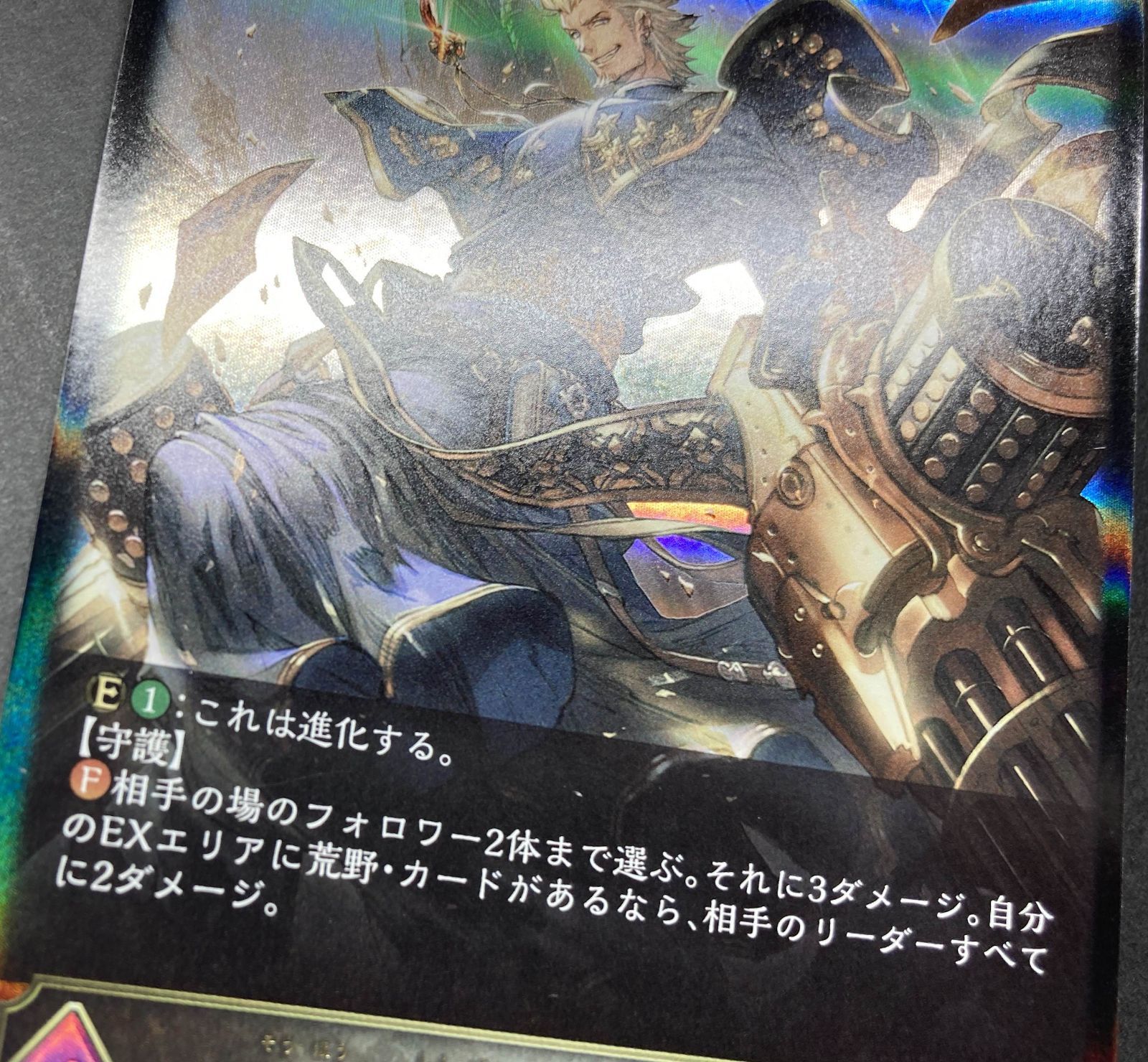 ☆M031-96 SHADOWVERSE EVOLVE シャドウバース エボルヴ ダーク