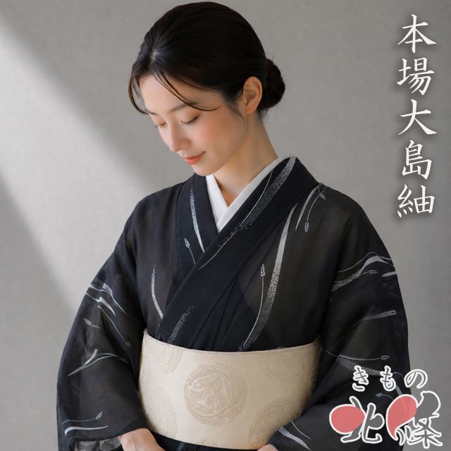 夏物 夏大島 本場大島紬 着物 中古 正絹 カジュアル 植物文様 穂
