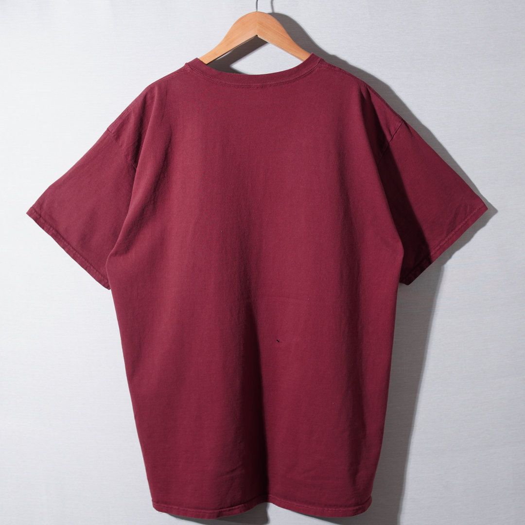 ピンクフロイド PINK FLOYD Tシャツ XL 相当(表記L) エンジ バンT