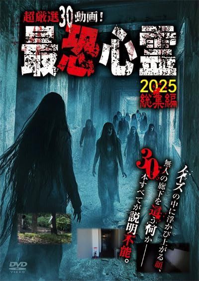 超厳選30動画！最恐心霊2025 総集編 [DVD]
