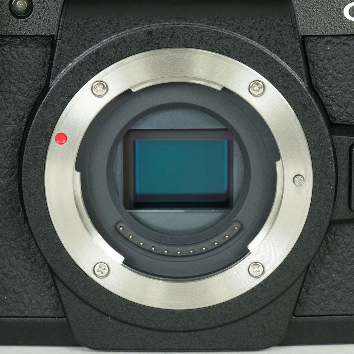 美品 | シャッター数3,963回｜バッテリー2個付] Panasonic LUMIX G99M2