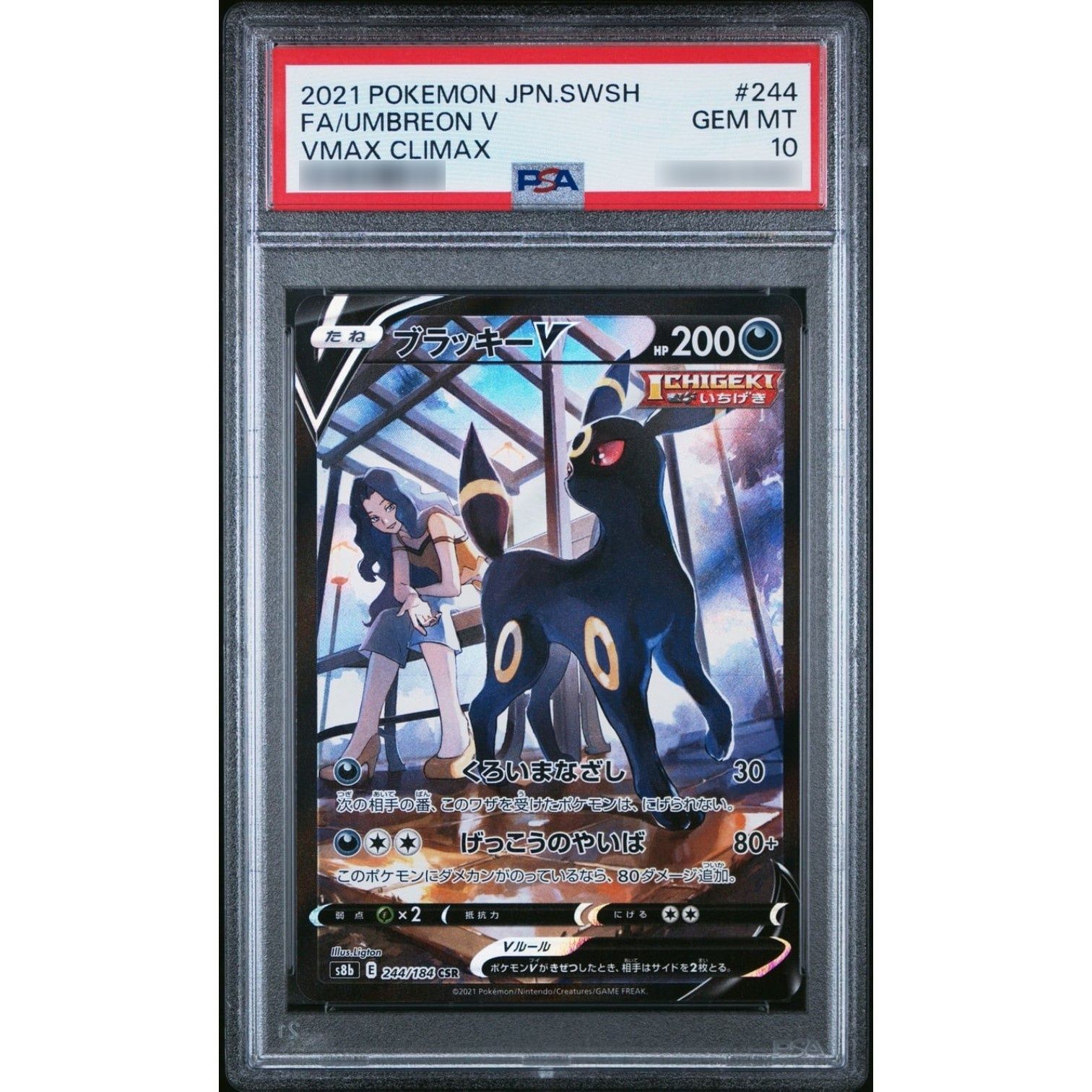 PSA10鑑定済〕ブラッキーV 【CSR】 {244/184} - メルカリ