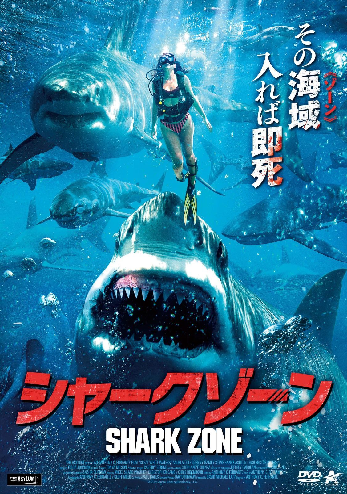 シャークゾーン [DVD]