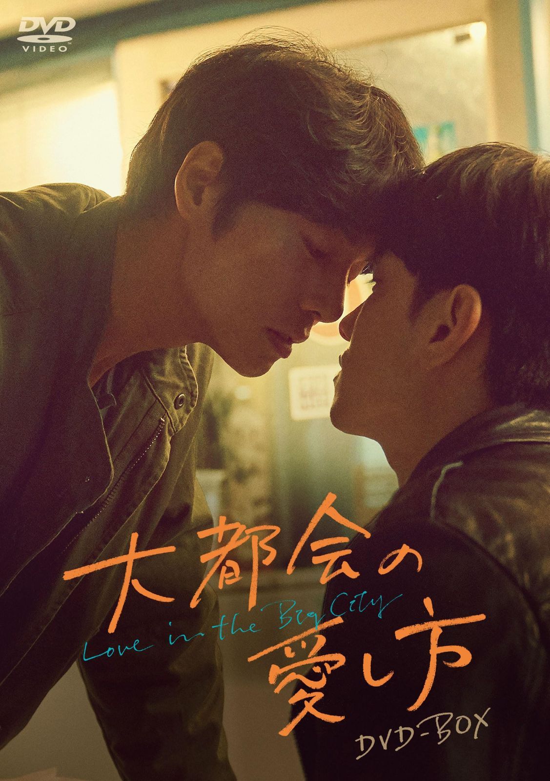 大都会の愛し方 ～Love in the Big City～　DVD-BOX [DVD]