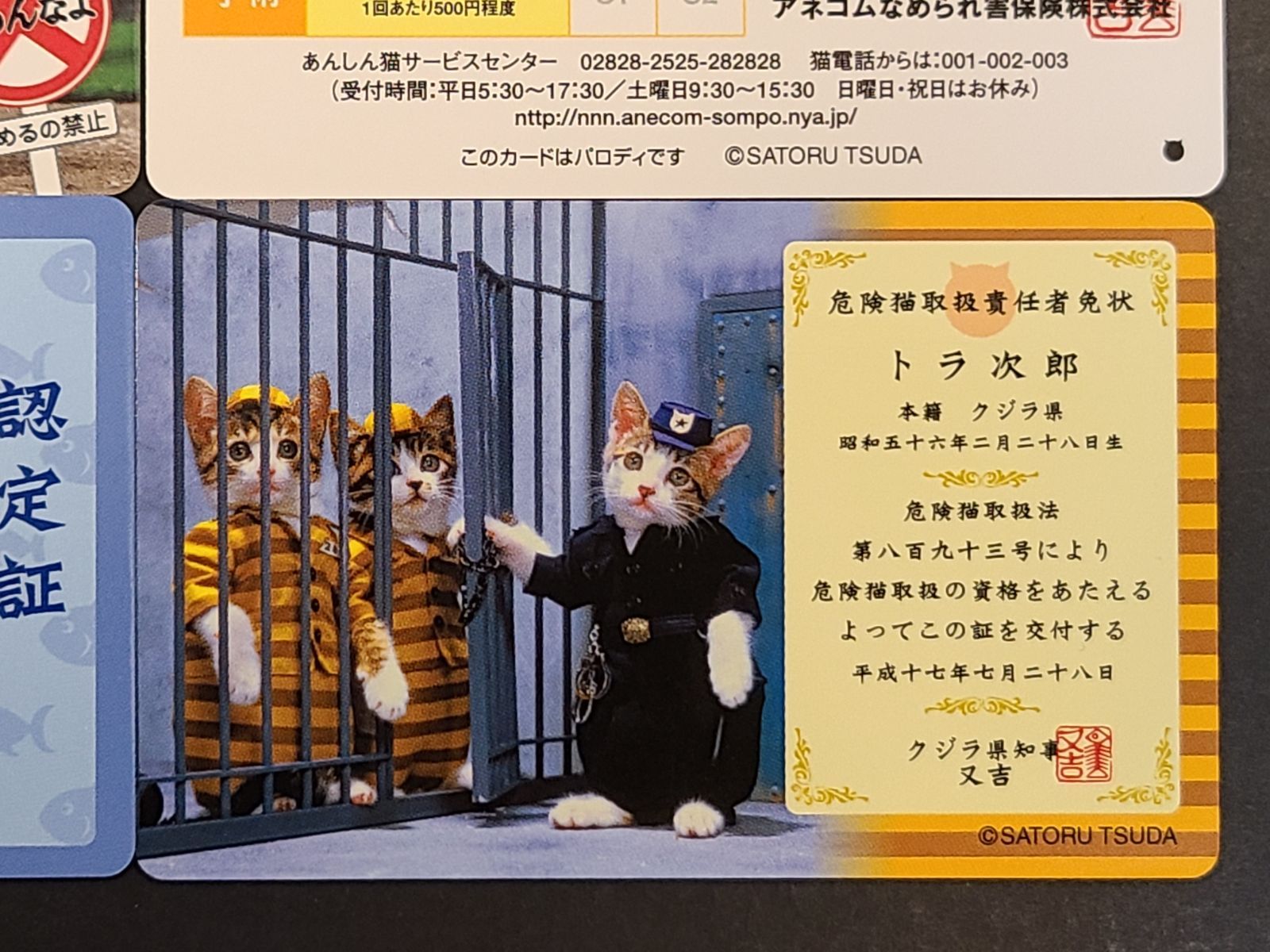 なめ猫 カード 5枚セット カツオブシ鑑定士 検定試験 合格証 獣道通行