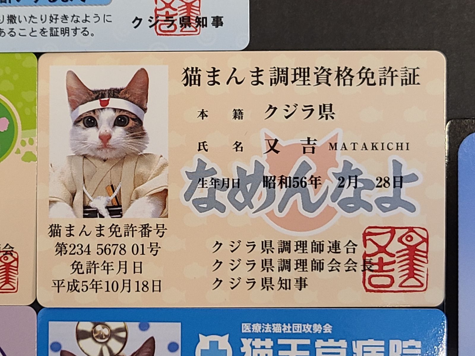 なめ猫 カード 6枚セット またたび取扱責任者免状 猫まんま調理資格