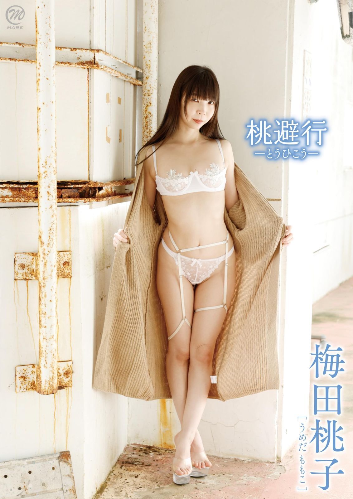 梅田桃子 桃避行-とうひこう- [DVD]