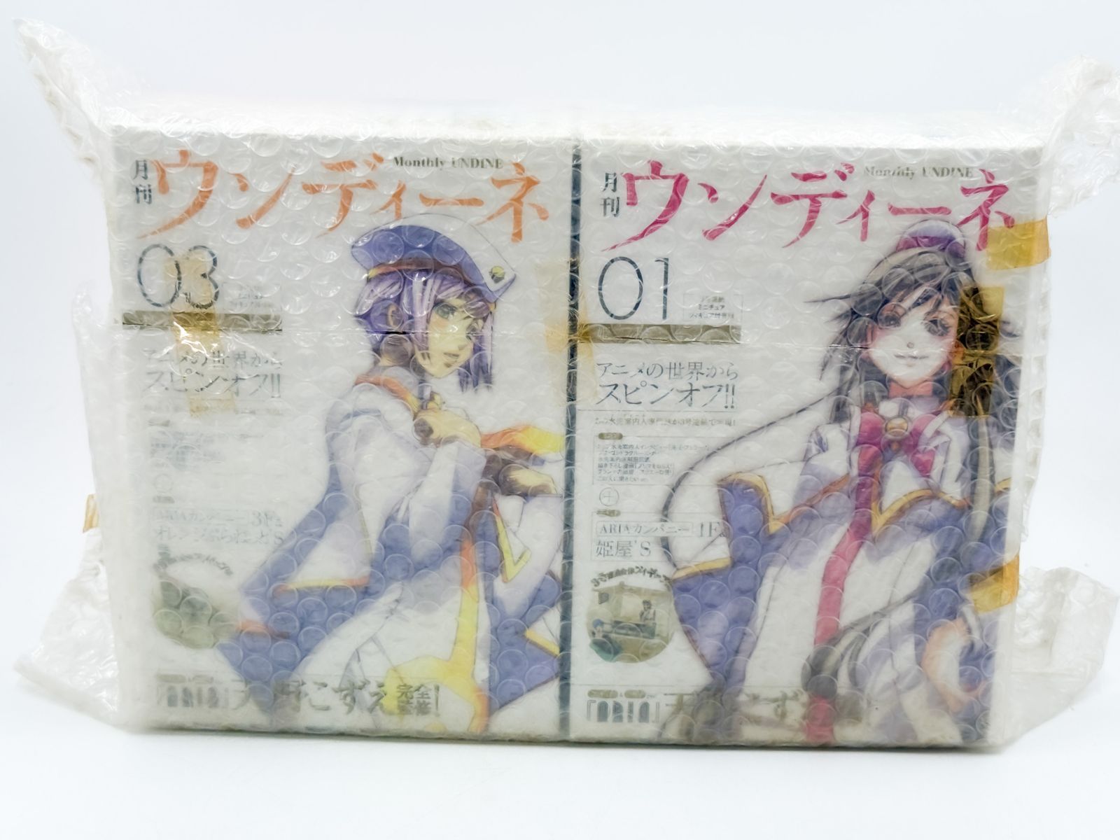 未開封 月刊ウンディーネ 特別付録付き 書籍セット