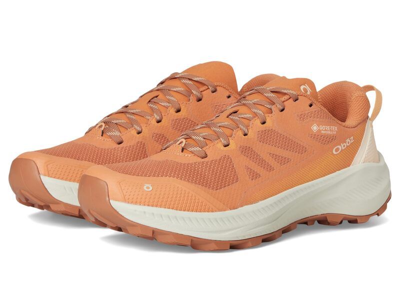 オボズ レディース シューズ ブーツ・レインブーツ Oboz Katabatic LT Low GTX Nectar