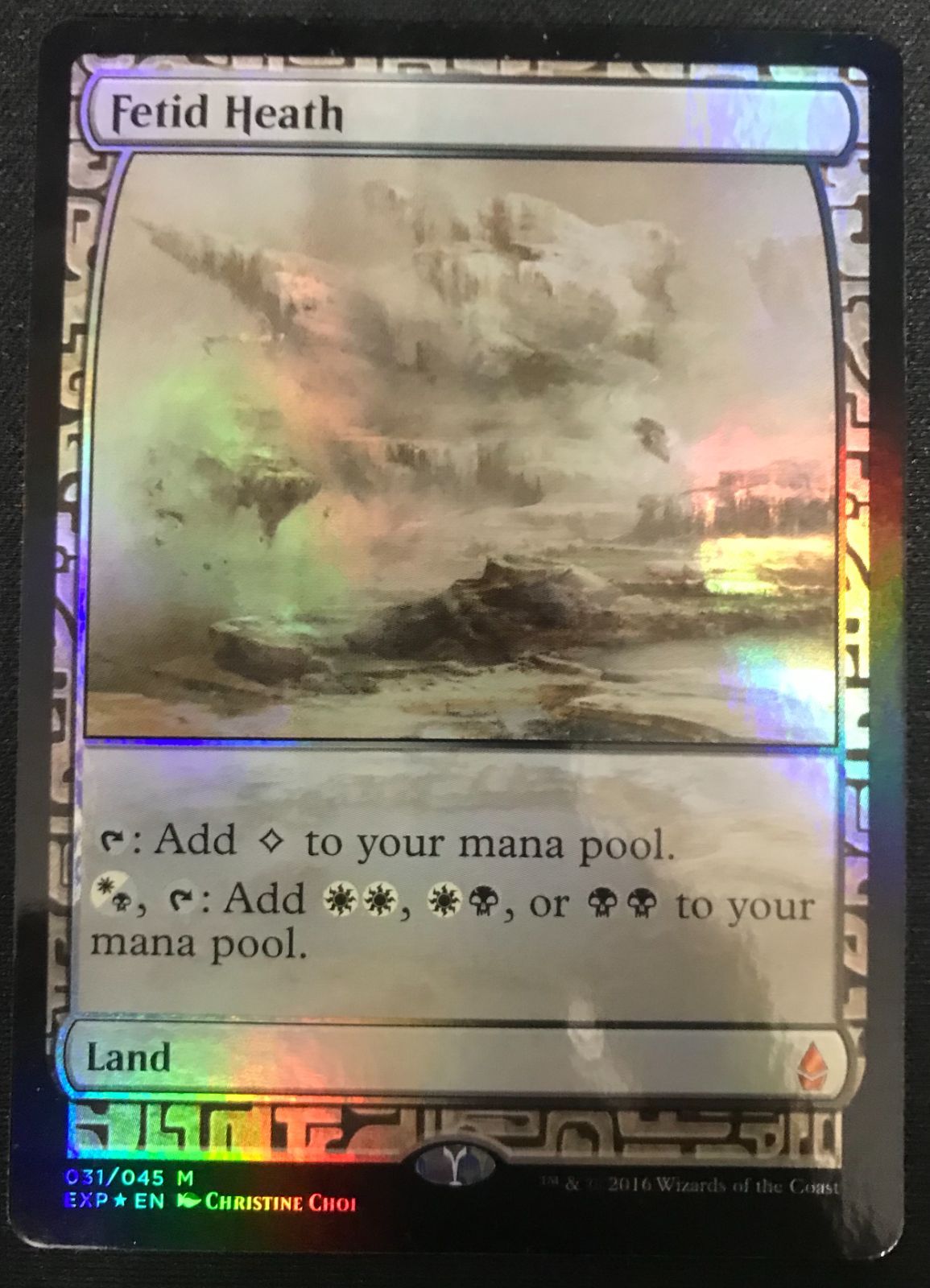 MtG 悪臭の荒野　ゼンディカーエクスペディション MTG 悪臭の荒野/Fetid Heath ゼンディカーエクスペディション 英語