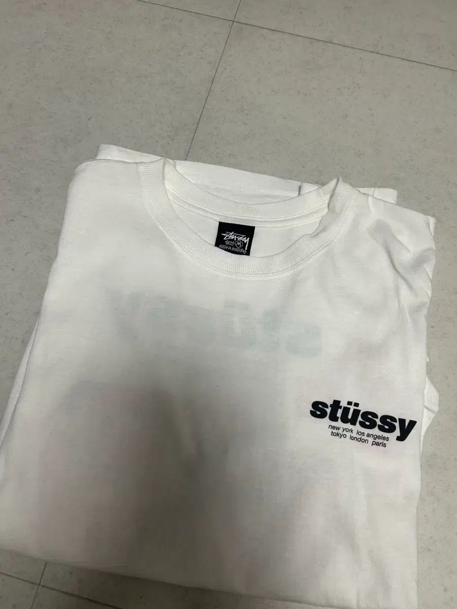 STUSSY ルーラ Tシャツ M