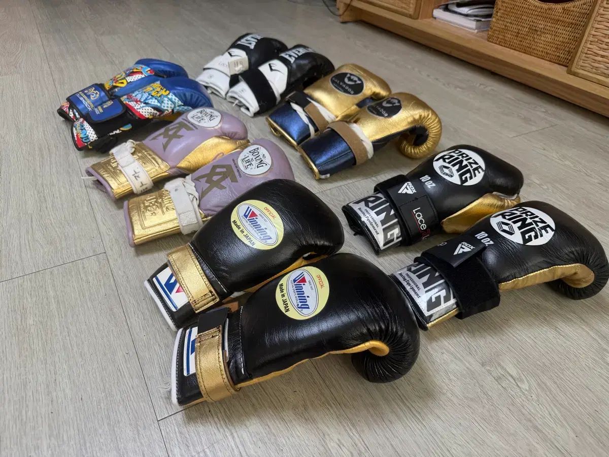 グローブ出品