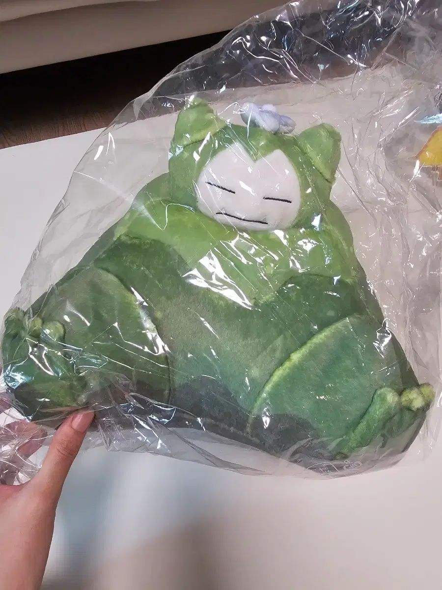 苔スリーパー (苔マンボ) 出品