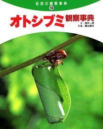 オトシブミ観察事典 (自然の観察事典 10)