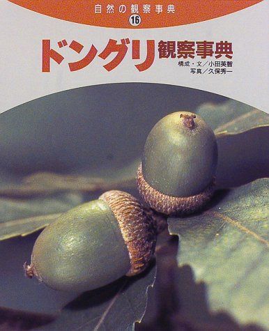 ドングリ観察事典 (自然の観察事典 16)