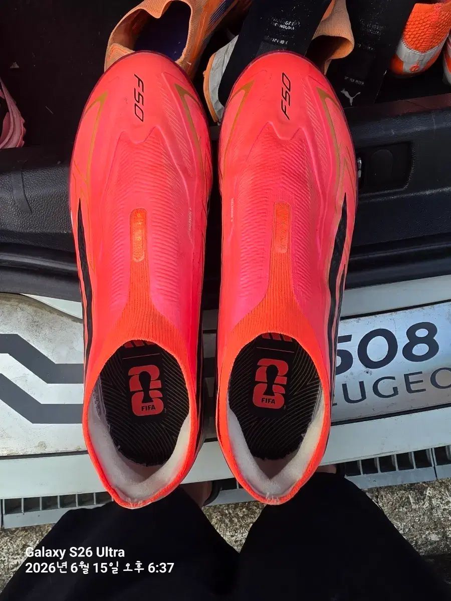 f50ハイパーパス プロLL tf270