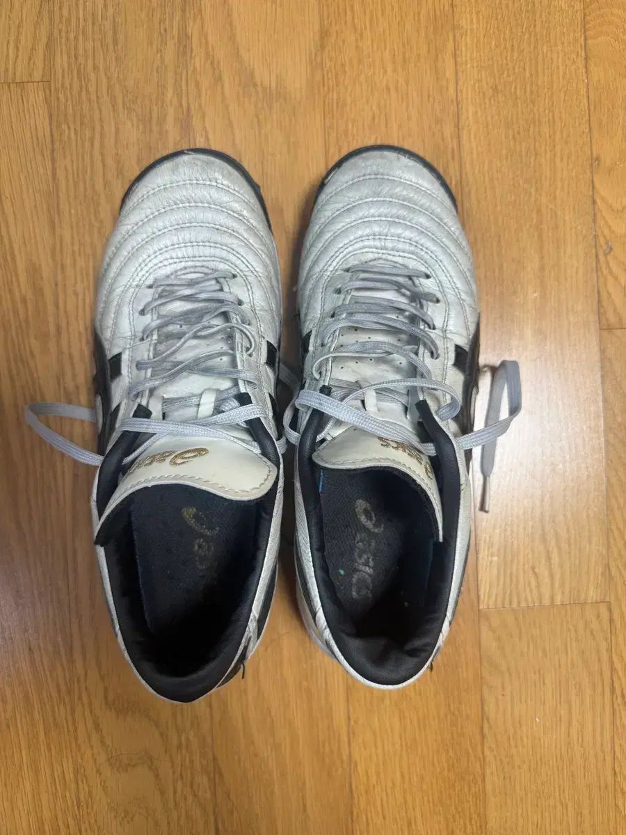 asics アシックス c3 tf화 サッカーシューズ 245(250) サイズ